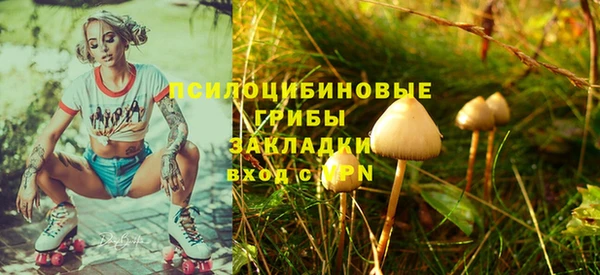 apvp Покачи