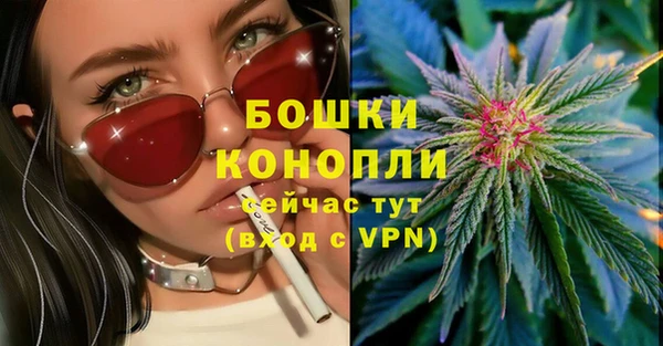 PSILOCYBIN Липки