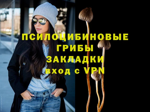 PSILOCYBIN Липки