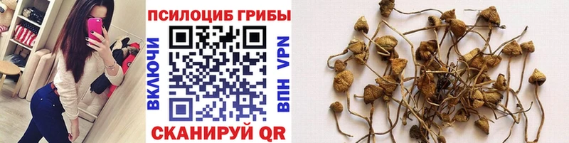 Галлюциногенные грибы GOLDEN TEACHER  Починок 